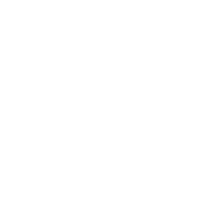 CONNECTING SMILES THROUGH FOOD